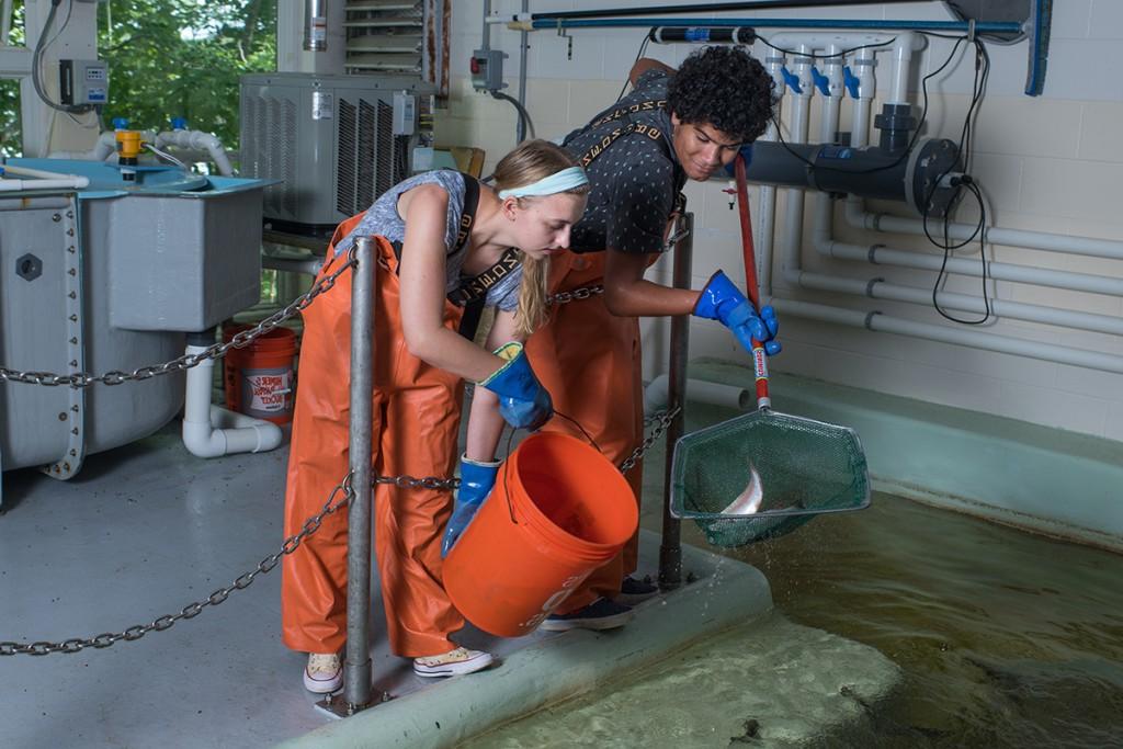 两名身穿橙色工作服的学生在海洋科学中心实验室用掠网捕鱼